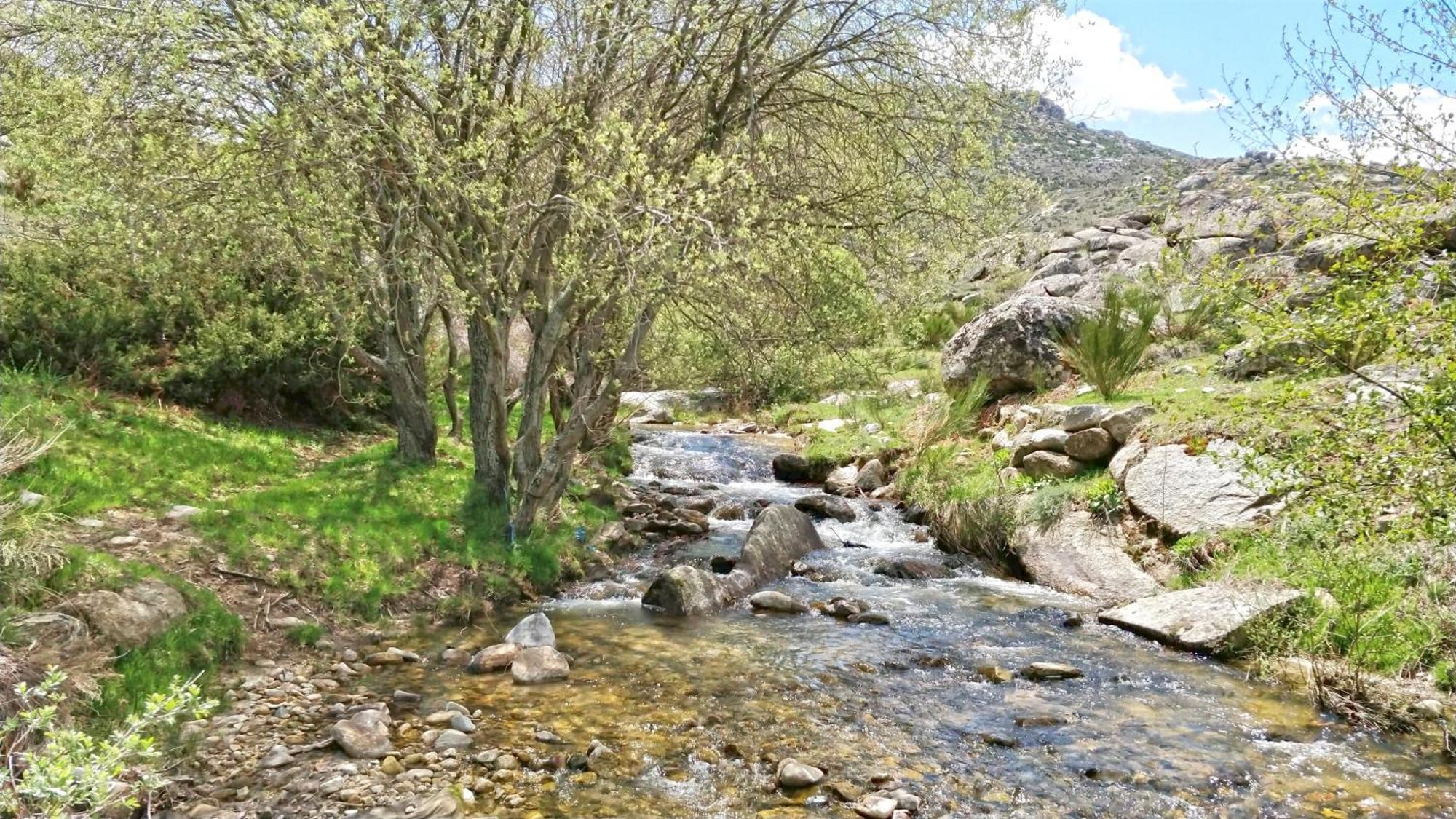 El Cuco Holiday home